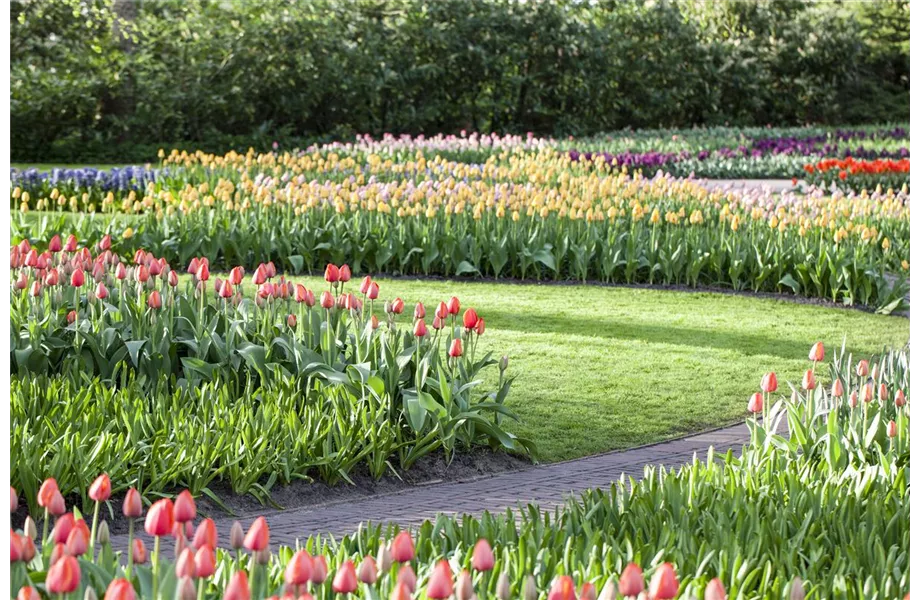 Gartenräume optimal gestalten