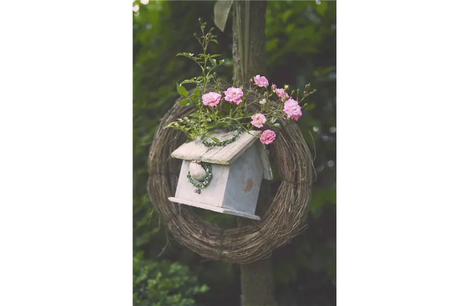 Diese Arbeiten sind jetzt im Garten noch nötig