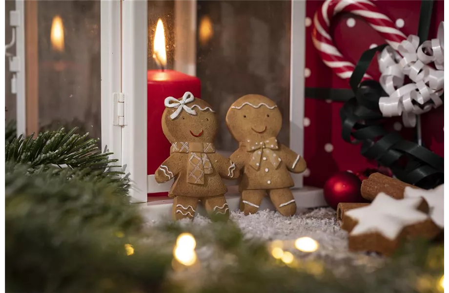 Weihnachtliche Stimmung im Garten