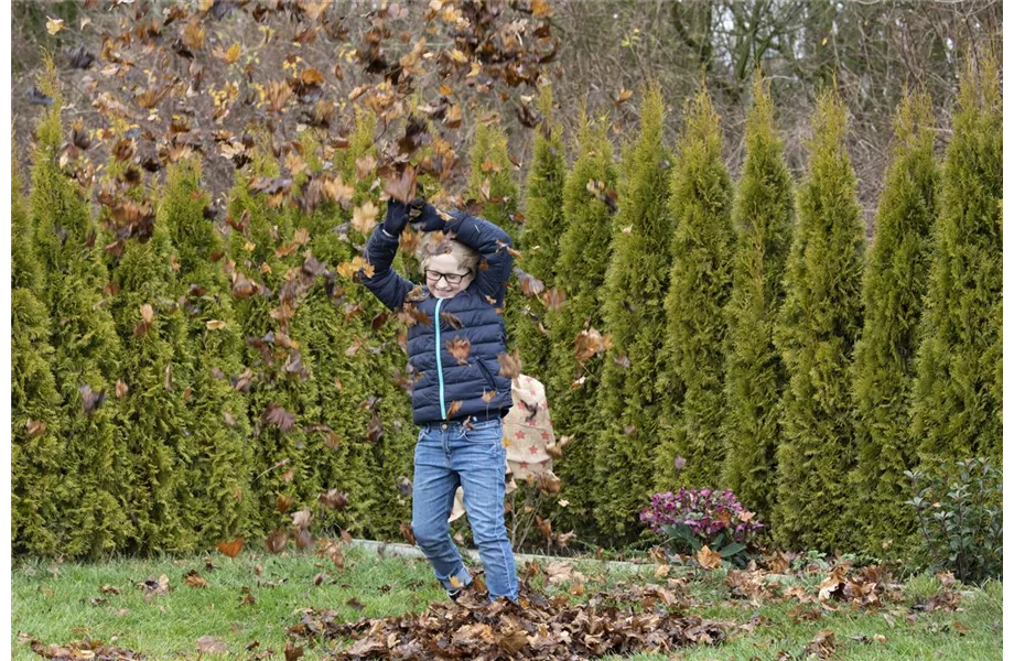 Was tun mit dem Herbstlaub?