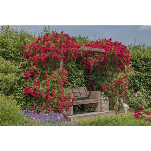 So werden Cottage-Träume wahr