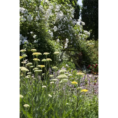 Lauschige Ecken im Garten