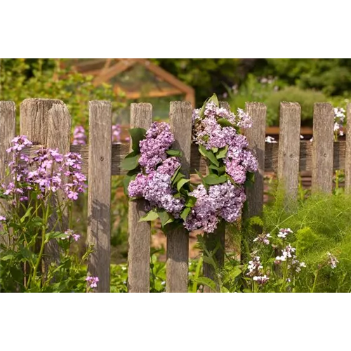 Gartenzäune sind nützlich und schön