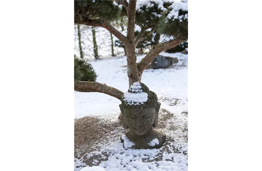 Skulpturen im Garten