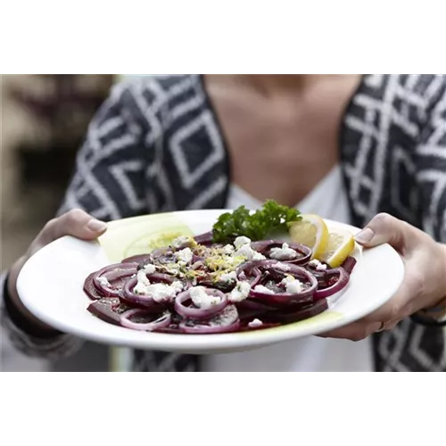 Geschichtete Rote-Beete mit Ricotta