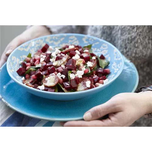 Rote-Bete-Salat