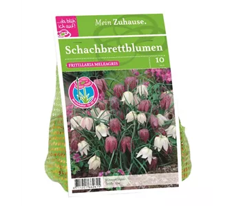 Blumenzwiebel Schachbrettblumen