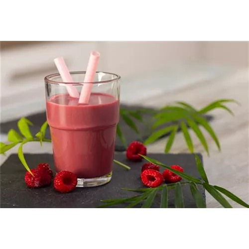 Rezept des Monats April 2025: Beeren-Shake