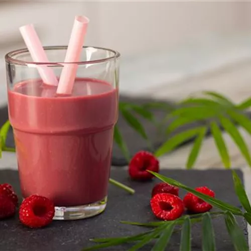 Rezept des Monats April 2025: Beeren-Shake