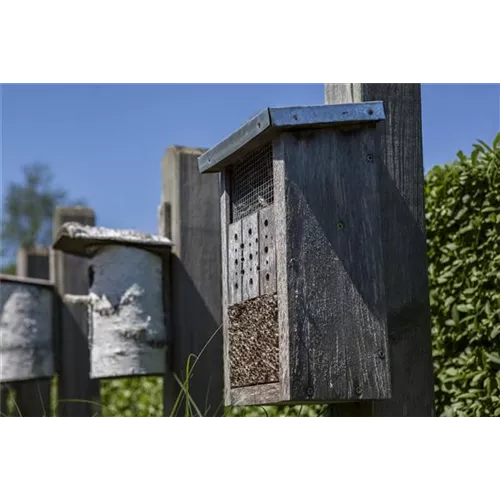 Bauen Sie ein Insektenhotel 