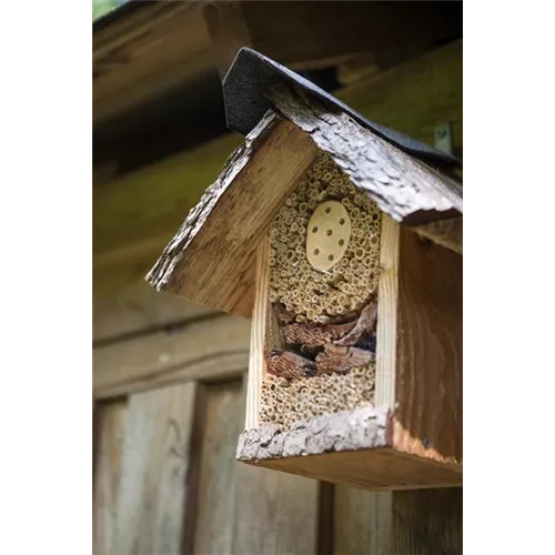 Ein Insektenhotel im Garten